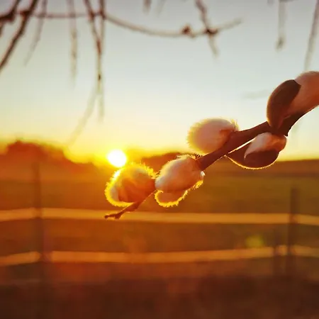 Apartmán P-hosting Modernes Zwischen Ravensburg Und Dem Altdoerferwald, 110qm, Familienfreundlich, Separater Eingang, Kaffeevollautomat, Baecker Und Pizzeria 15 Meter, Spielplatz 50 Meter, 20 Km Zum Bodensee, 30km In Berge Schlier