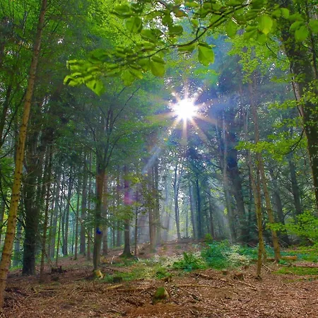 Apartmán P-hosting Modernes Zwischen Ravensburg Und Dem Altdoerferwald, 110qm, Familienfreundlich, Separater Eingang, Kaffeevollautomat, Baecker Und Pizzeria 15 Meter, Spielplatz 50 Meter, 20 Km Zum Bodensee, 30km In Berge Schlier