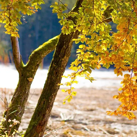 P-hosting Modernes Zwischen Ravensburg Und Dem Altdoerferwald, 110qm, Familienfreundlich, Separater Eingang, Kaffeevollautomat, Baecker Und Pizzeria 15 Meter, Spielplatz 50 Meter, 20 Km Zum Bodensee, 30km In Berge Apartmán Schlier