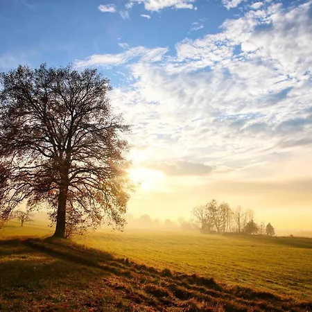 Apartmán P-hosting Modernes Zwischen Ravensburg Und Dem Altdoerferwald, 110qm, Familienfreundlich, Separater Eingang, Kaffeevollautomat, Baecker Und Pizzeria 15 Meter, Spielplatz 50 Meter, 20 Km Zum Bodensee, 30km In Berge Schlier